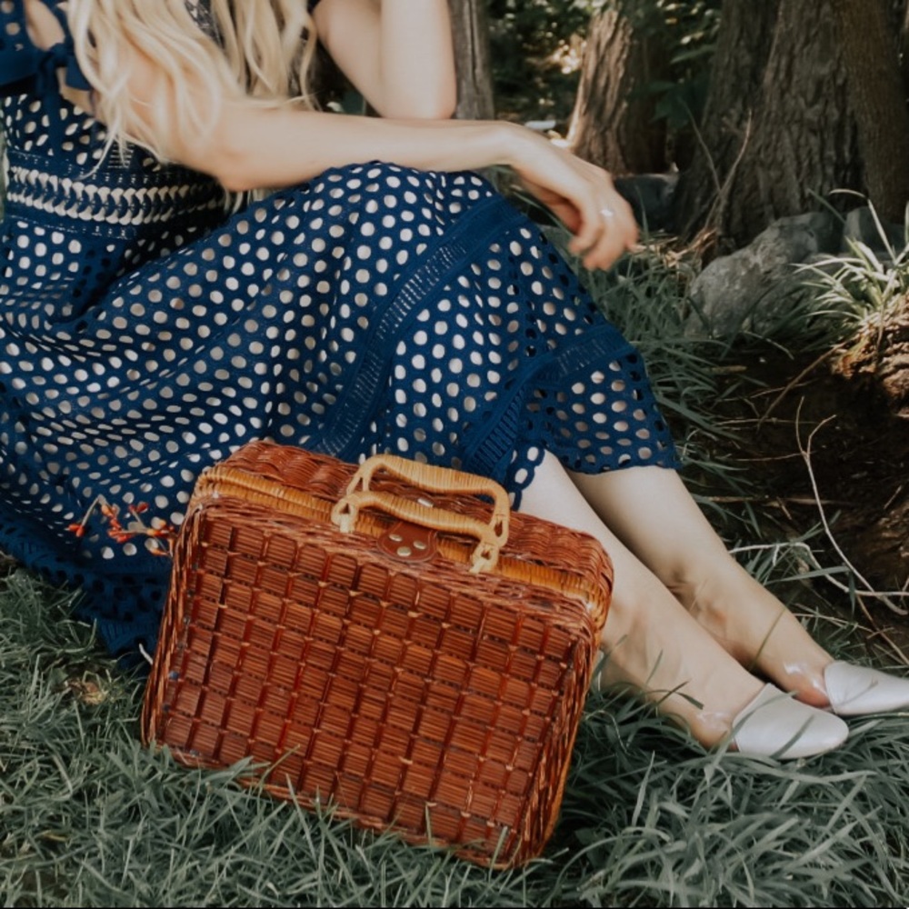 Adorable wicker case /bag
